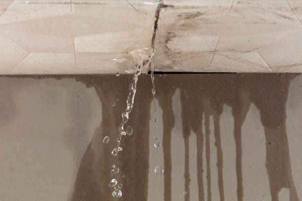 Professional Water Damage Inspection technician working in Cohasset, MN